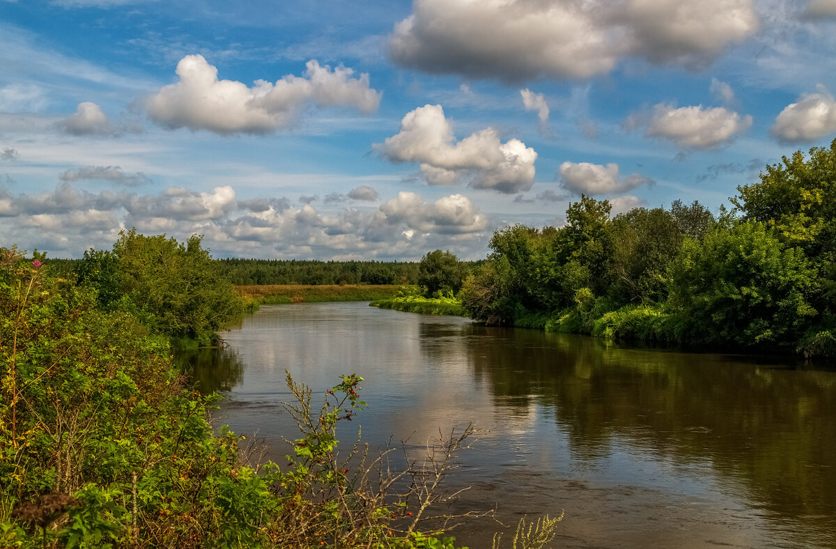 В Августе на Клязьме 6 - Андрей Дворников