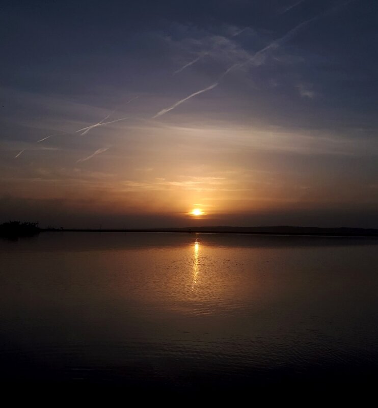 Очередной, красивый - светлана льдокова