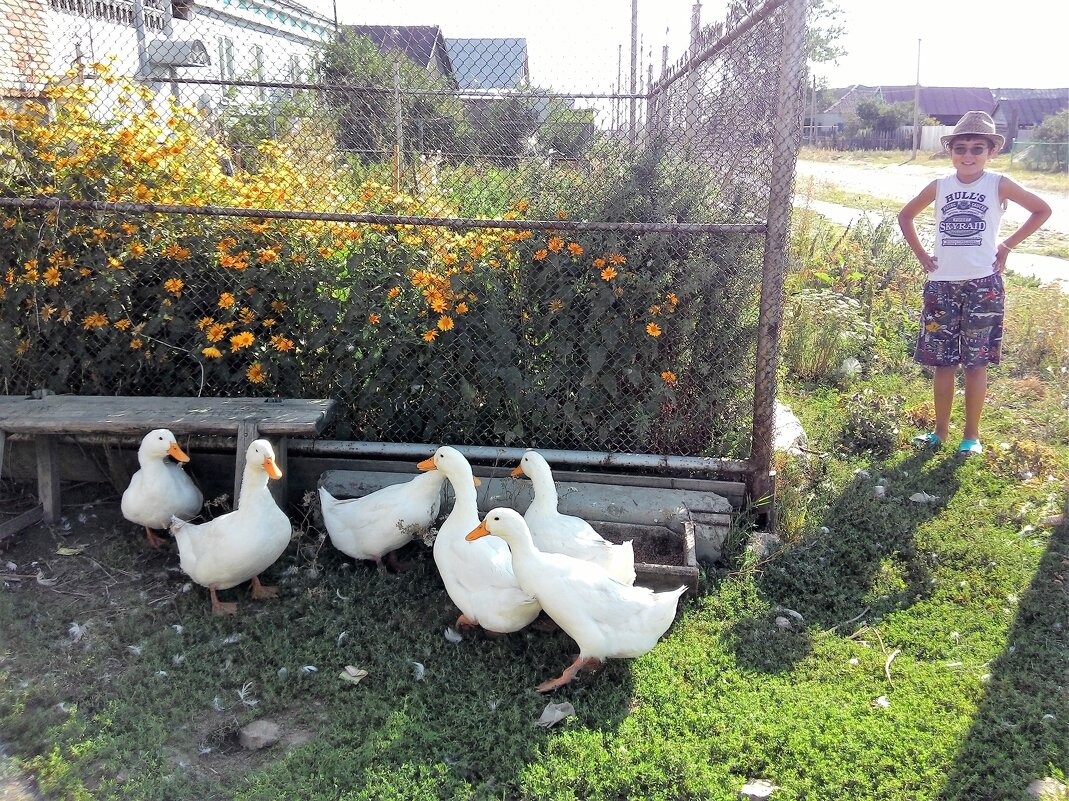 Вот моя деревня. - Венера Чуйкова