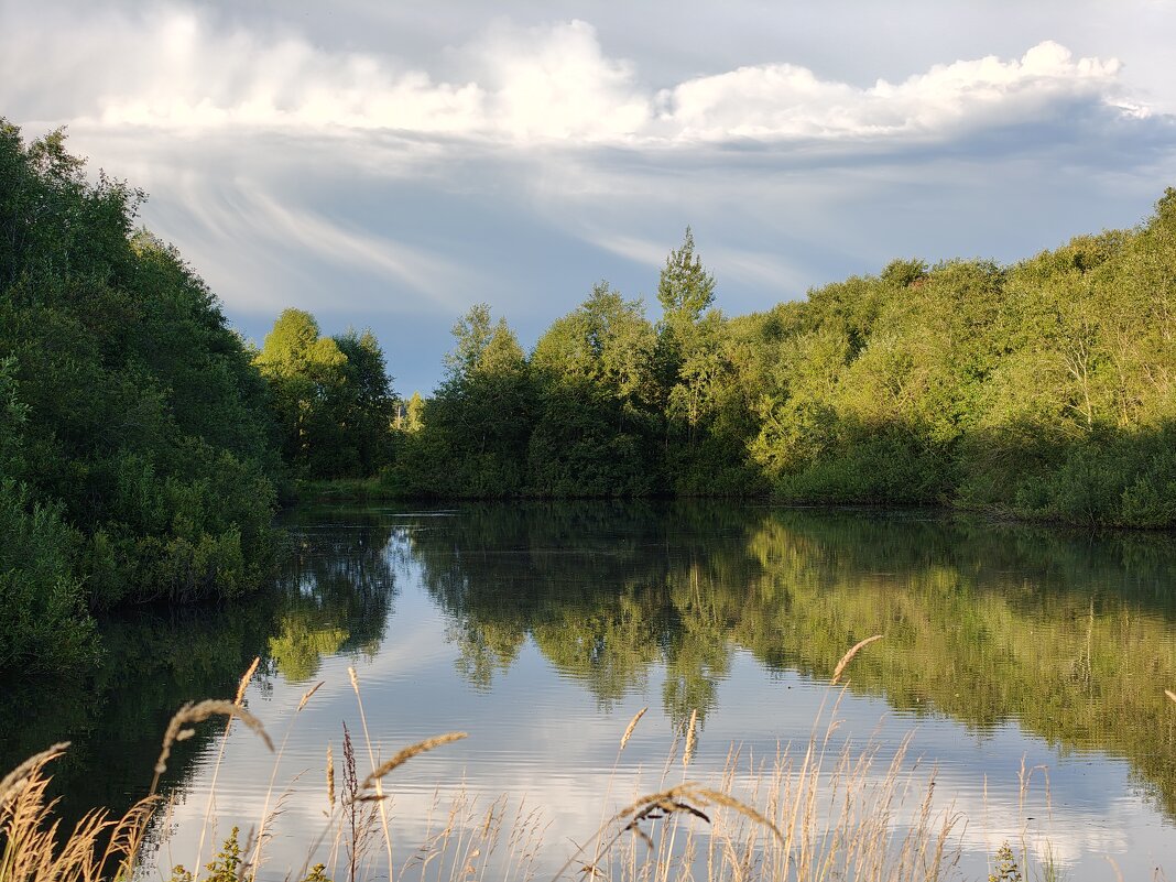 Пруд - Андрей Пруд - Андрей