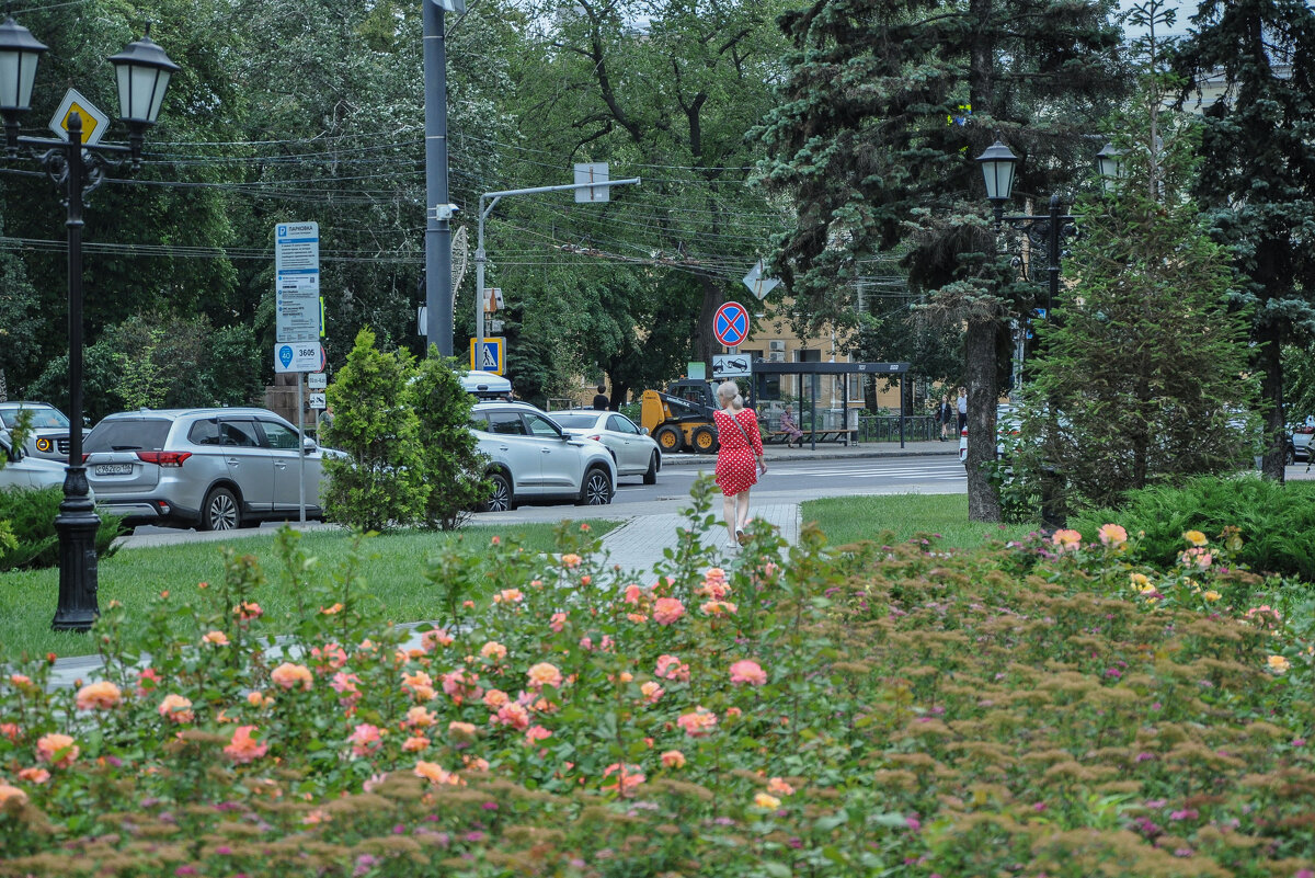 Девушка идёт по летнему скверу - Татьяна Машошина