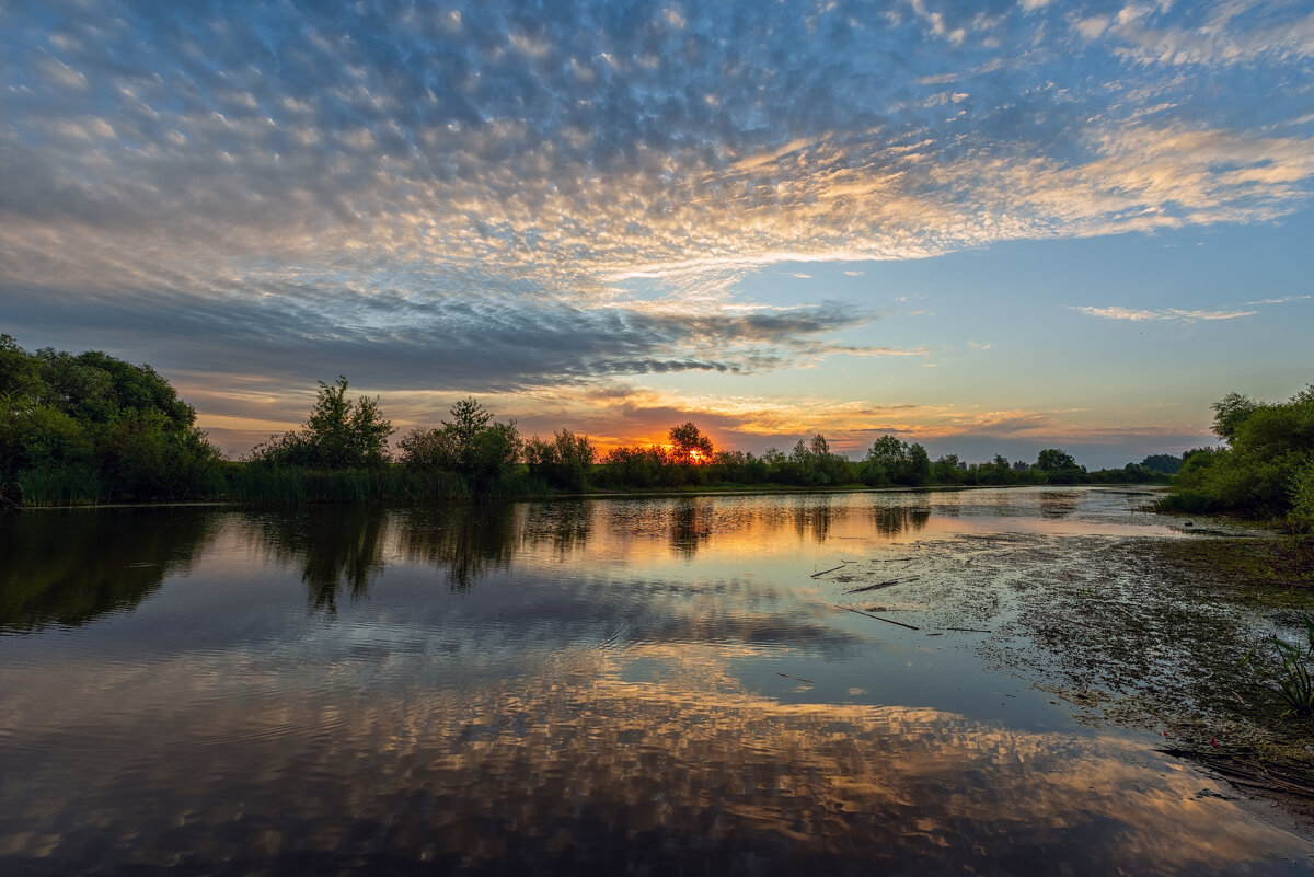 всходит - Виталий Емельянов всходит - Виталий Емельянов