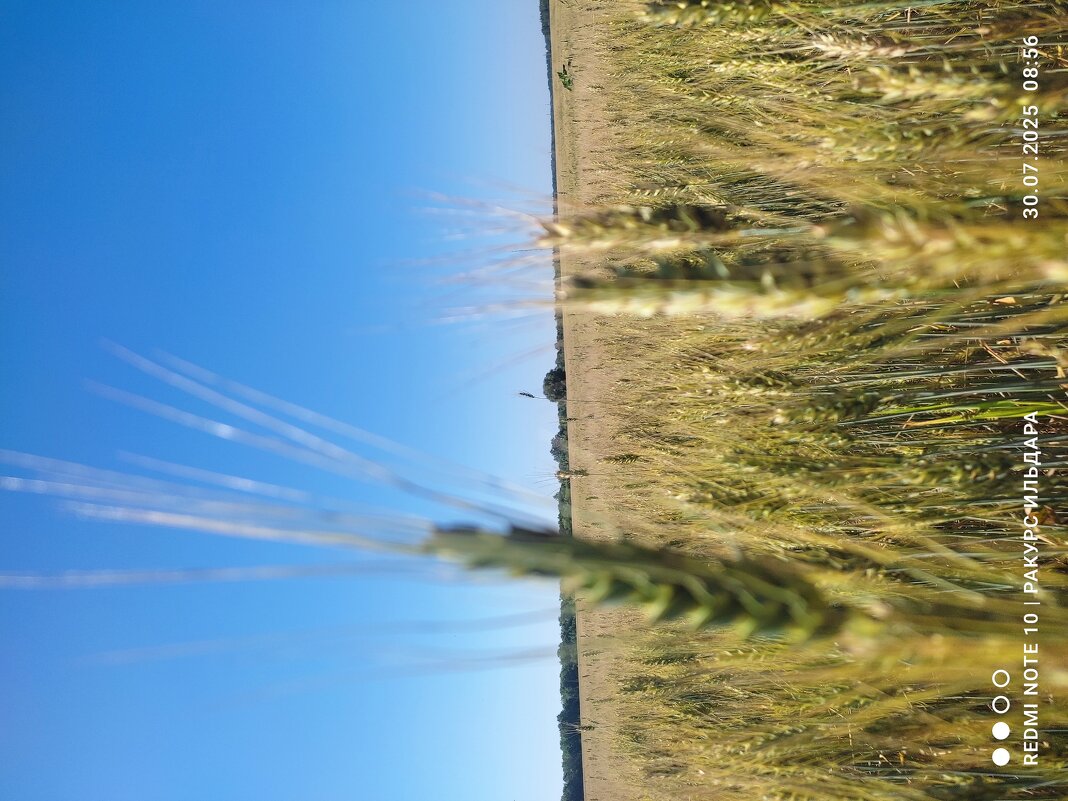 Июль - Ильдар Аббясов