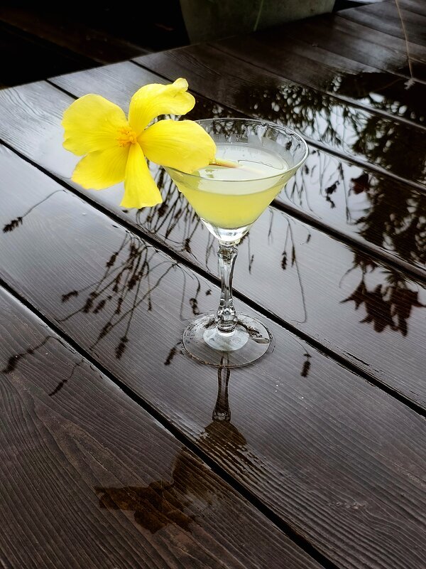 Предвкушение лета. - Галина Левина