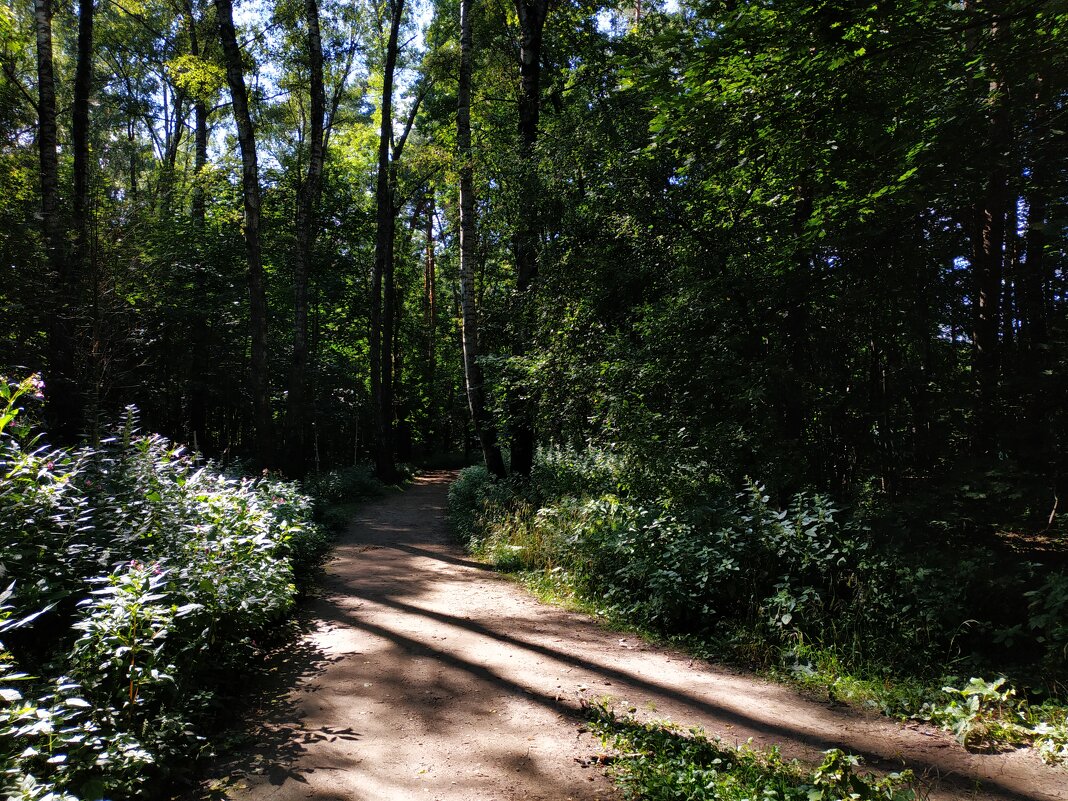 * * * - Андрей Лукьянов