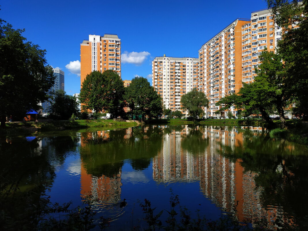 * * * - Андрей Лукьянов