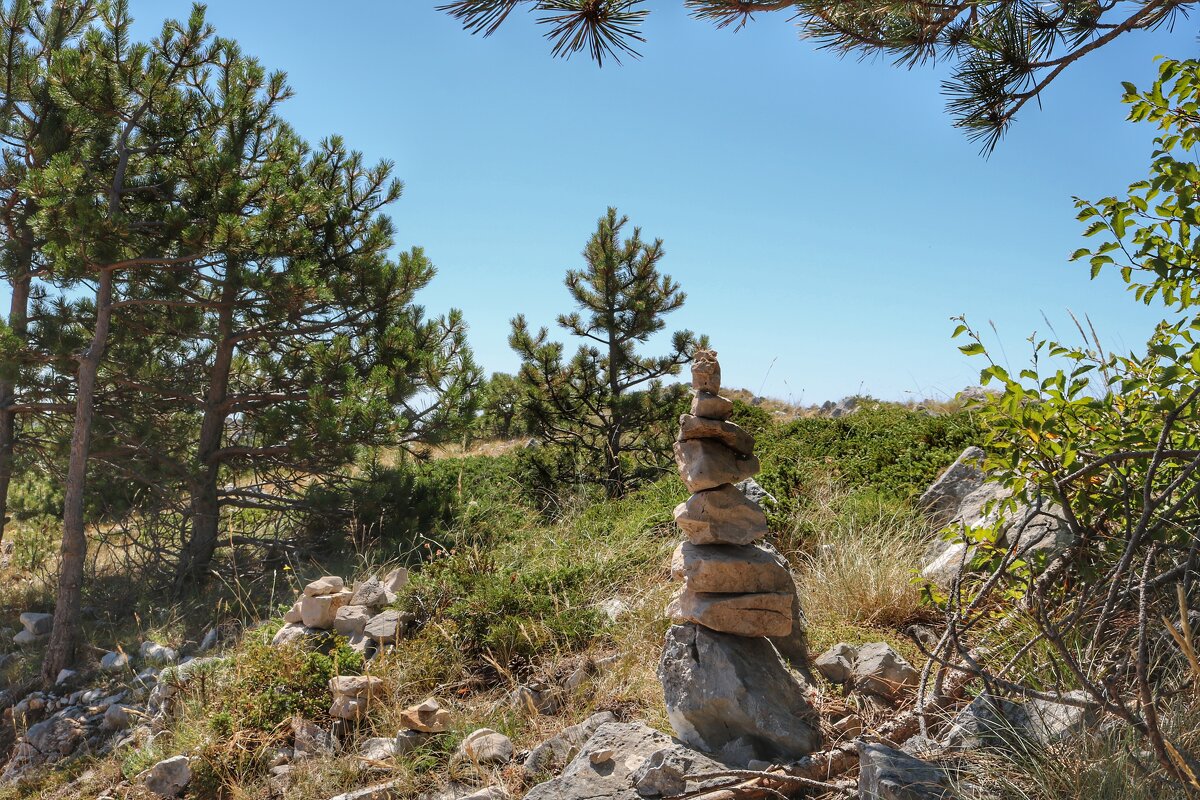 пирамидка - Светлана Баталий