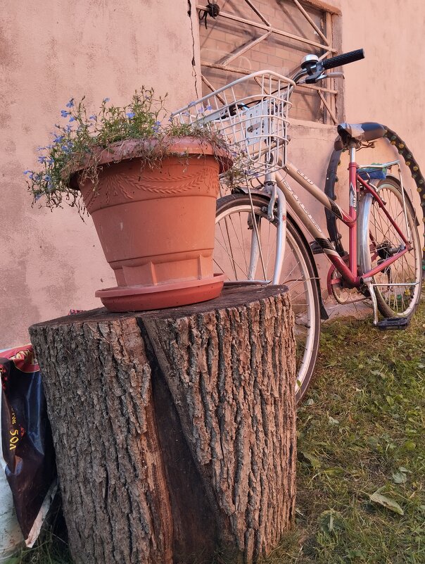 Увидеть рядом - На-та-ша 