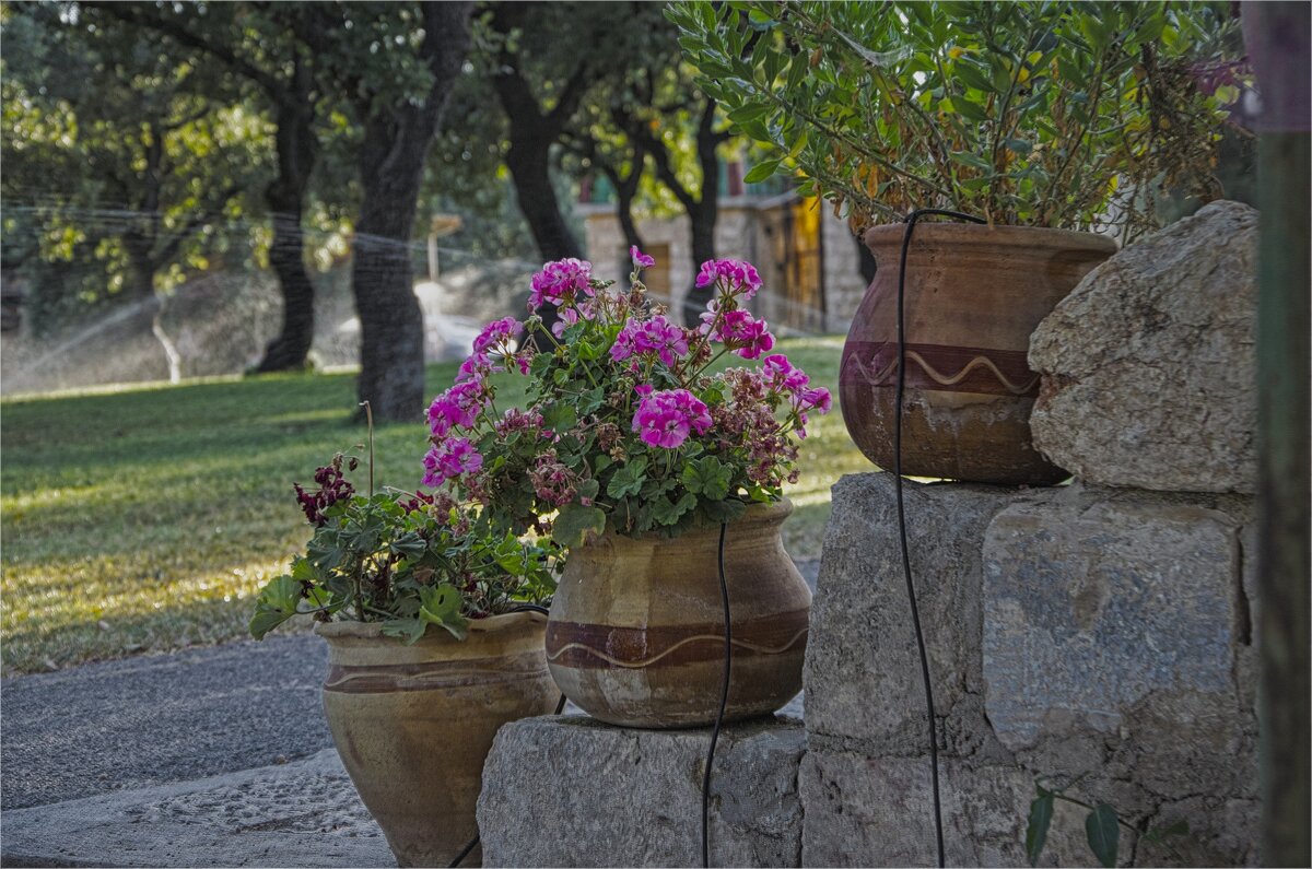 Цветочки  поливаем - ujgcvbif 