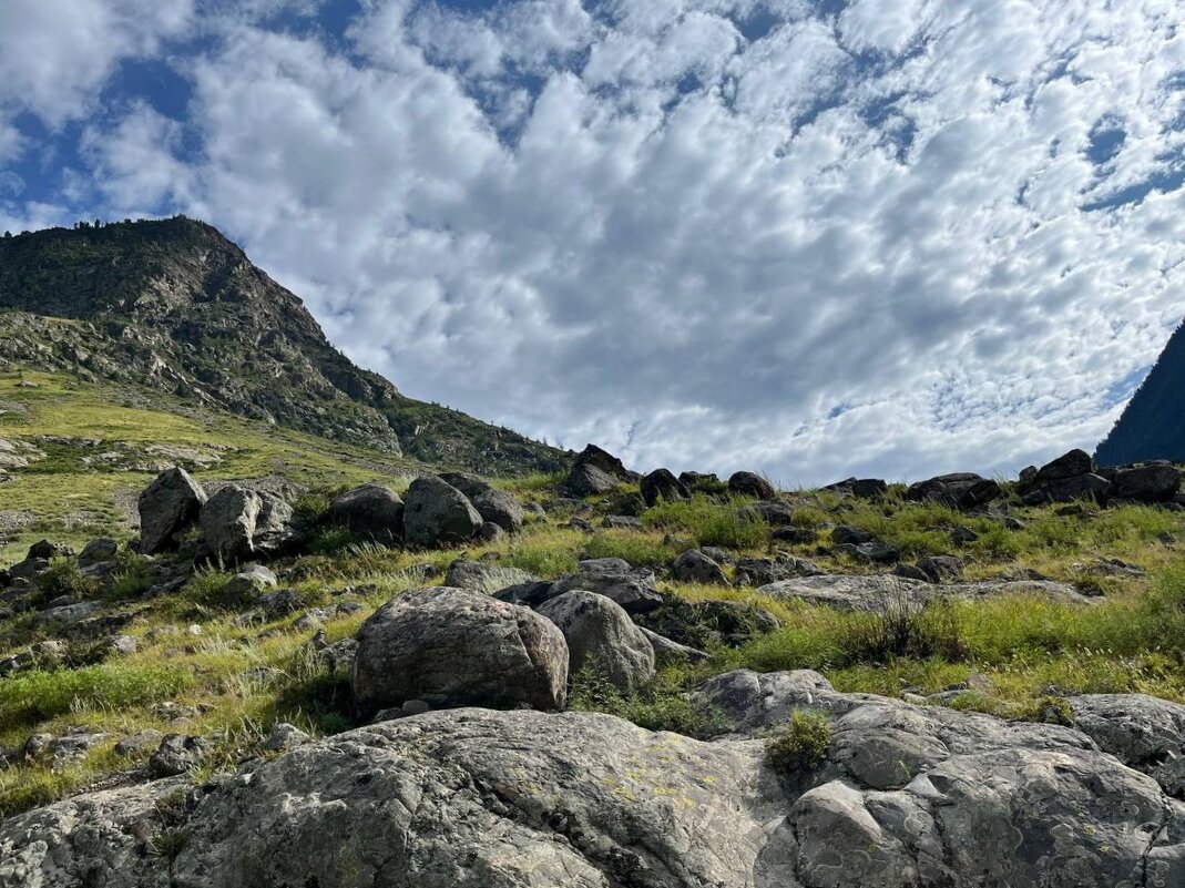 Очарование Алтая - Татьяна Лютаева Очарование Алтая - Татьяна Лютаева