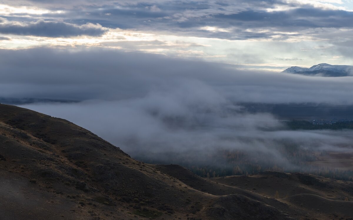 Туман в Курайской степи - Марина Фомина.