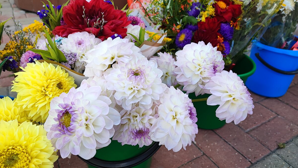 ,,, - Сергей Тимоновский