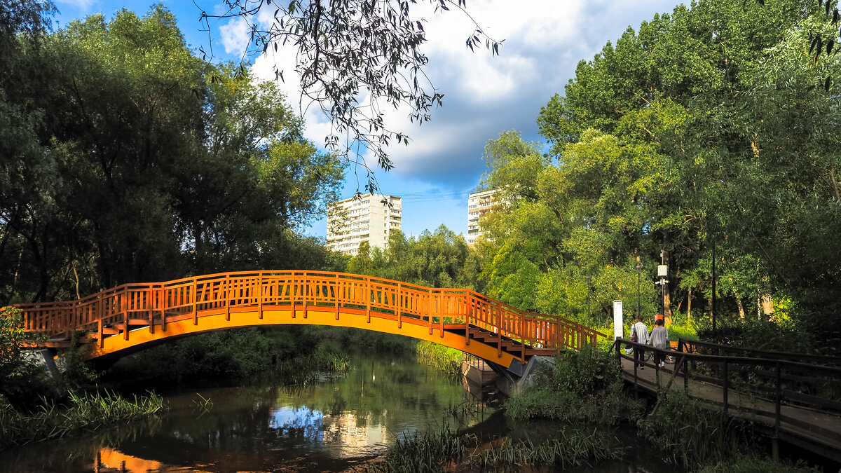 ***** - юрий поляков