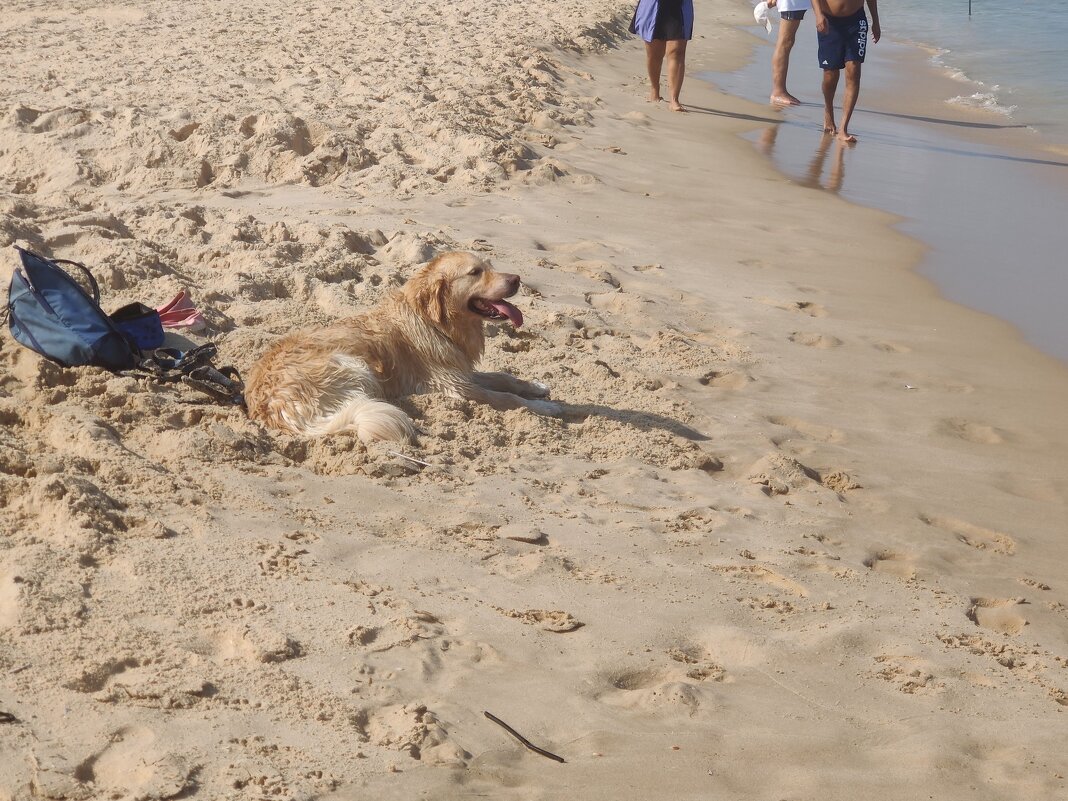 " - Светлана Хращевская