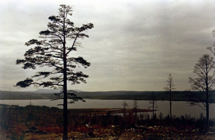 ОЗЕРО. - Виктор Осипчук