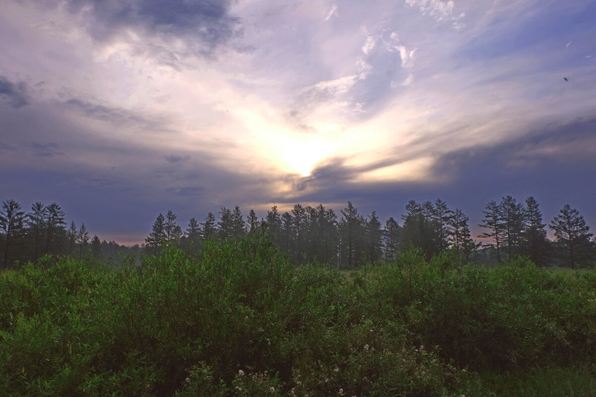 Восход в тайге - Мишель71 