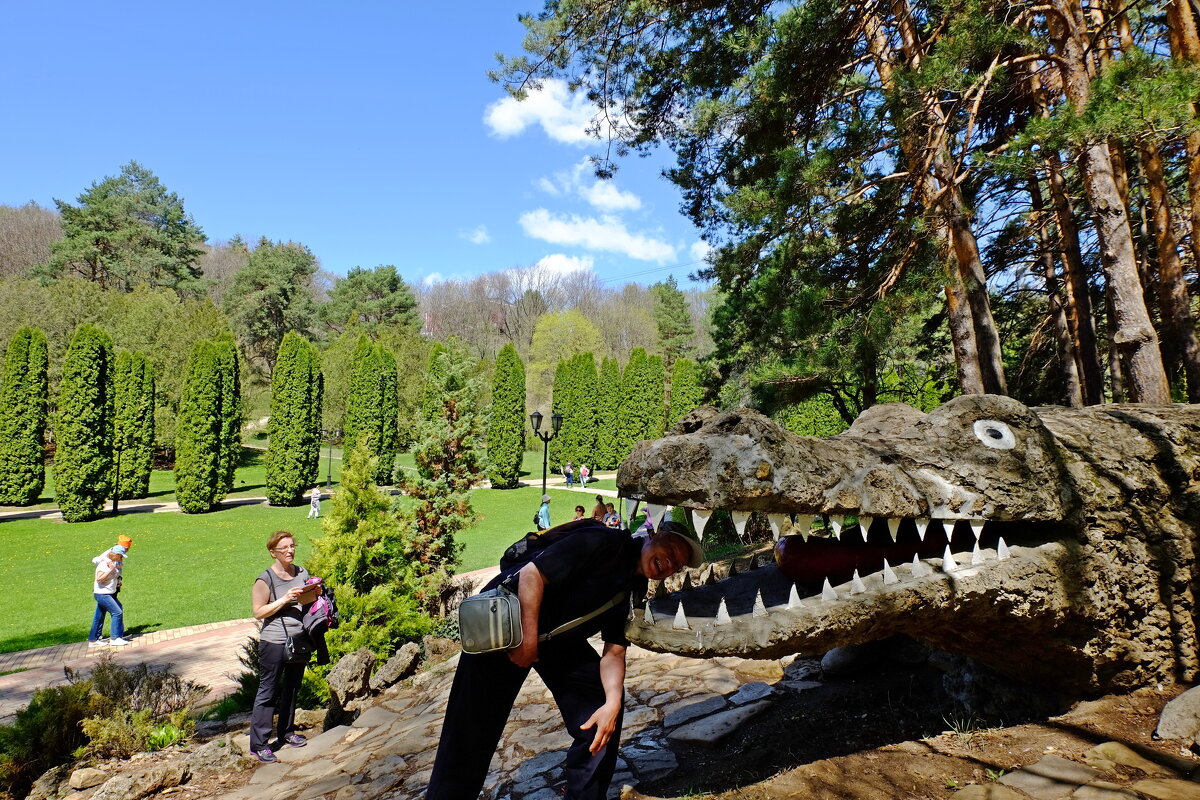 Встретились два крокодила - Мишель71 