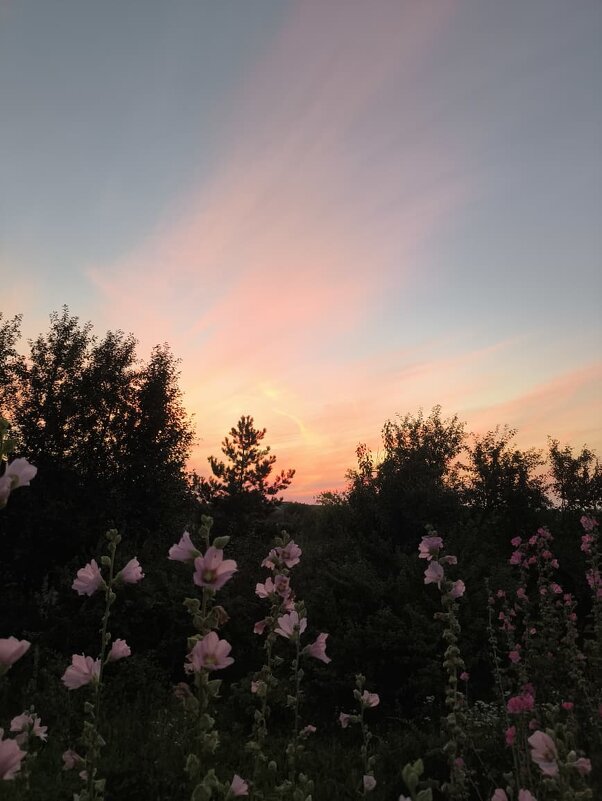 Ну, вот и вечер - Ирэн 