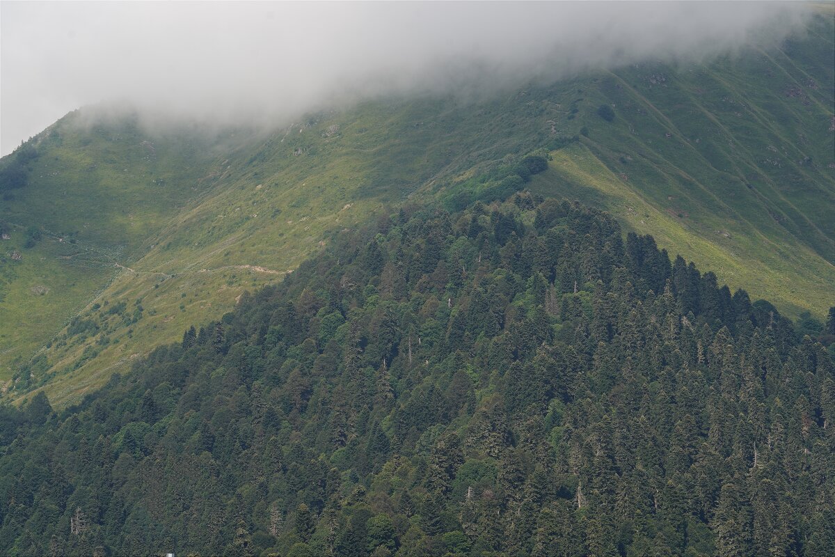 В горах - Татьяна Тюменка