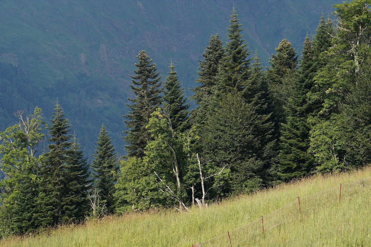 В горах - Татьяна Тюменка В горах - Татьяна Тюменка
