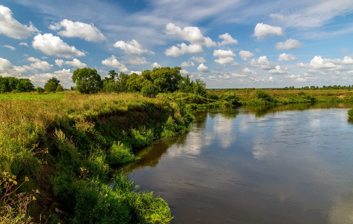 В Августе на Клязьме 7 - Андрей Дворников