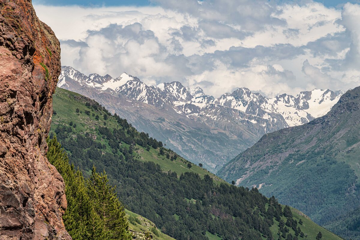 Стражи - Константин Бобинский