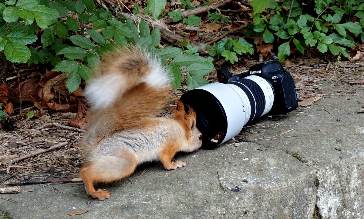 Так портреты делают? - Александр Кондаков