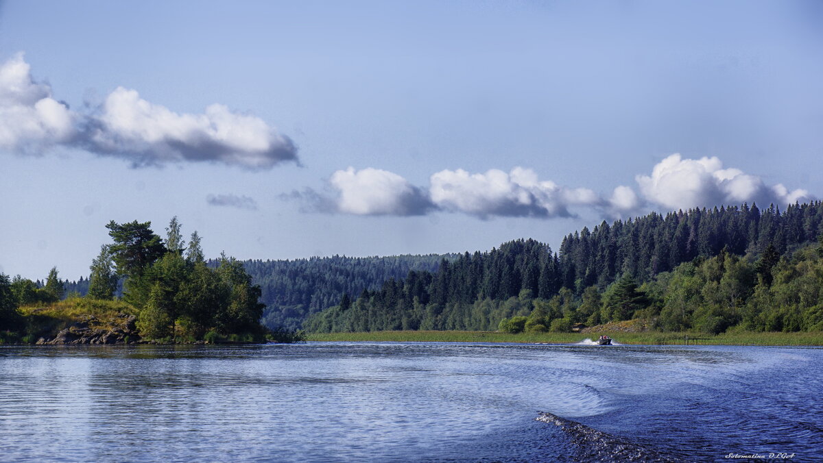 прогулка.... - Ольга Cоломатина