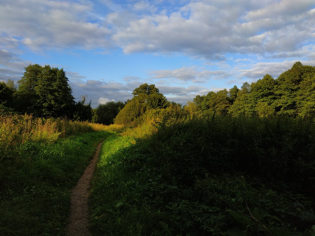 * * * - Андрей Лукьянов