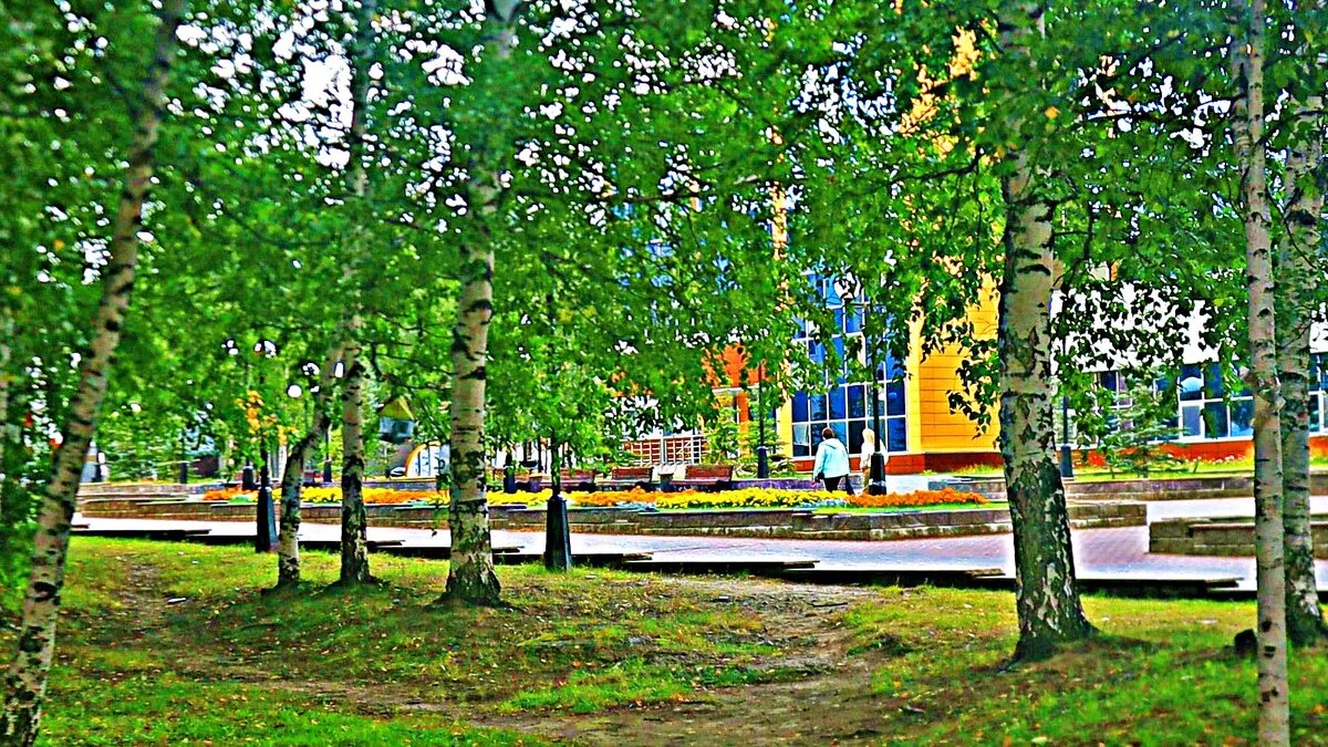 Август....Вид из сквера на центральный бульвар! - Владимир 