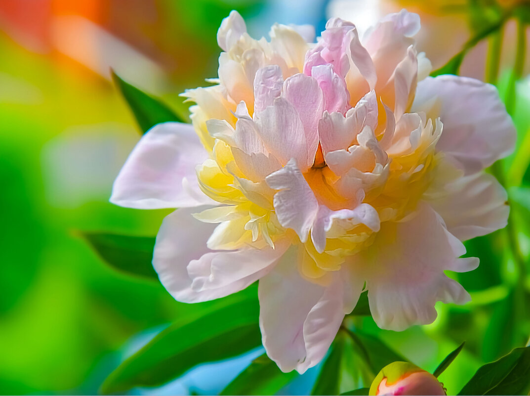 Вот оно лето - юрий Амосов Вот оно лето - юрий Амосов