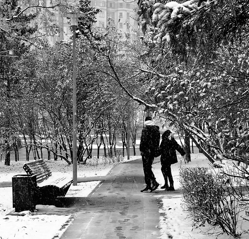 Двое. Снег. - Любимова Ольга 