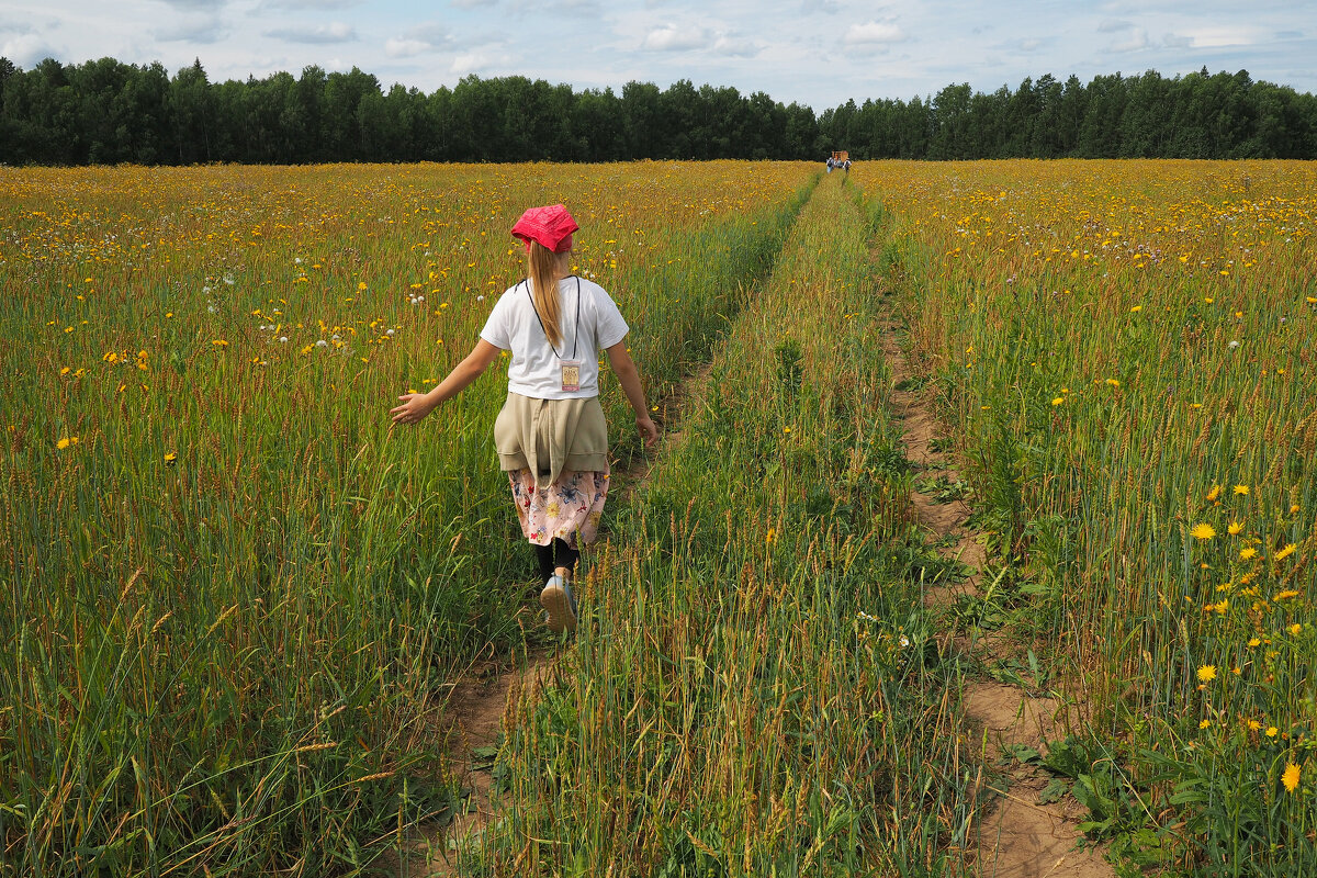 В поле - Григорий Азатян