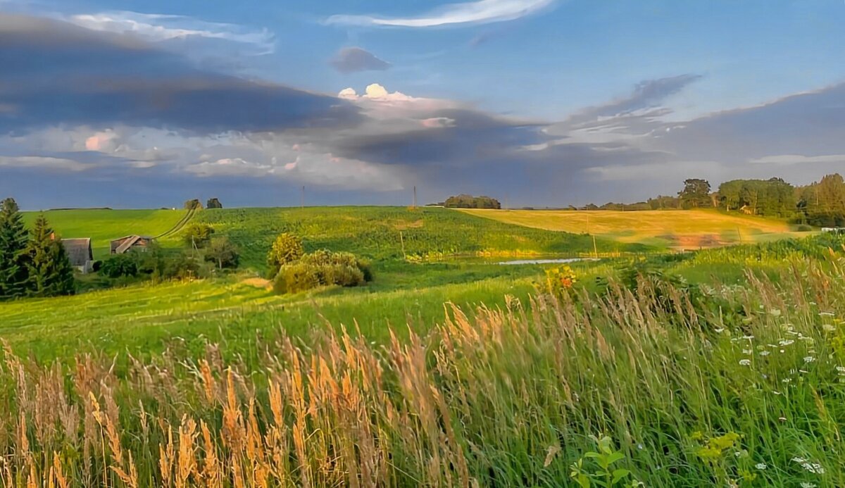 Summer 2025 5 - Arturs Ancans