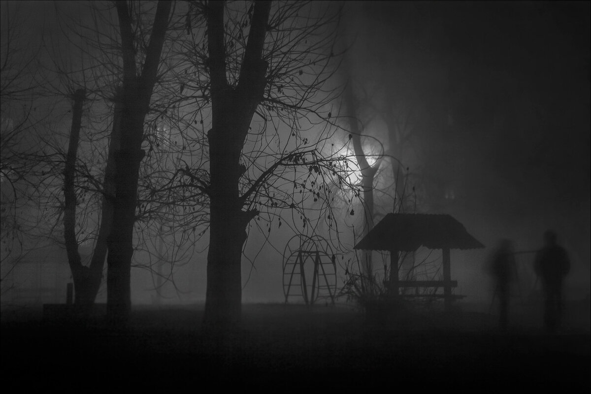 НОЧЕР - Александр Кустов