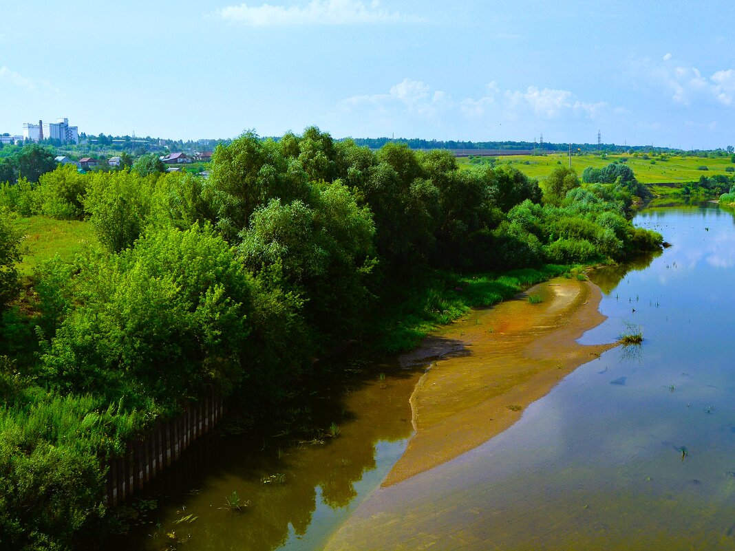 Алатырь. Ивы правого берега реки Алатырь. - Пётр Чернега