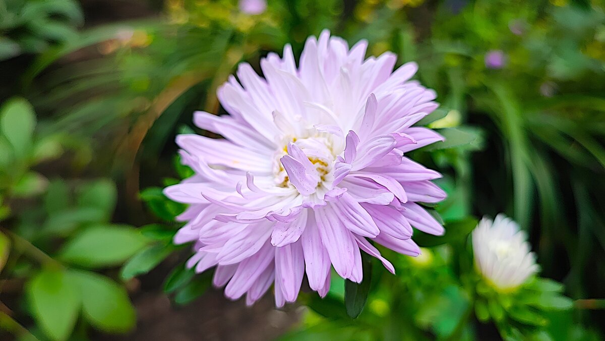 ,,, - Сергей Тимоновский