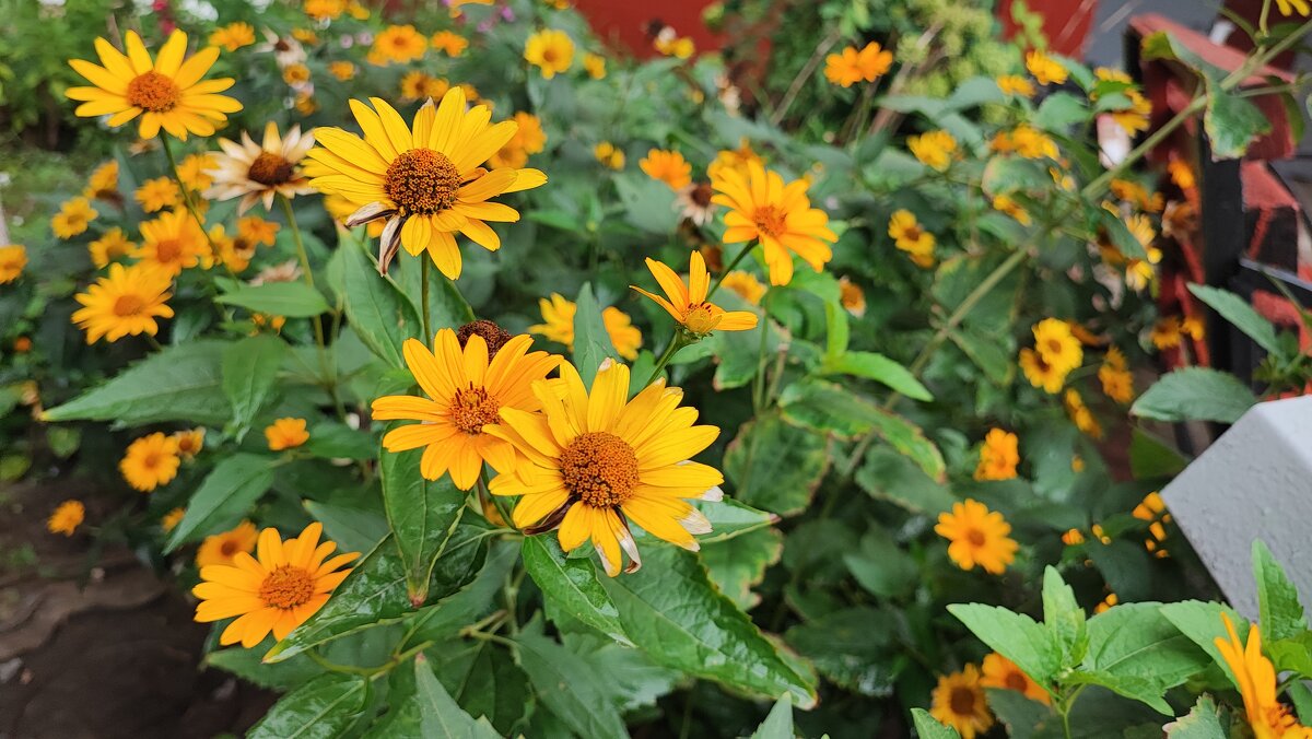 ,,, - Сергей Тимоновский