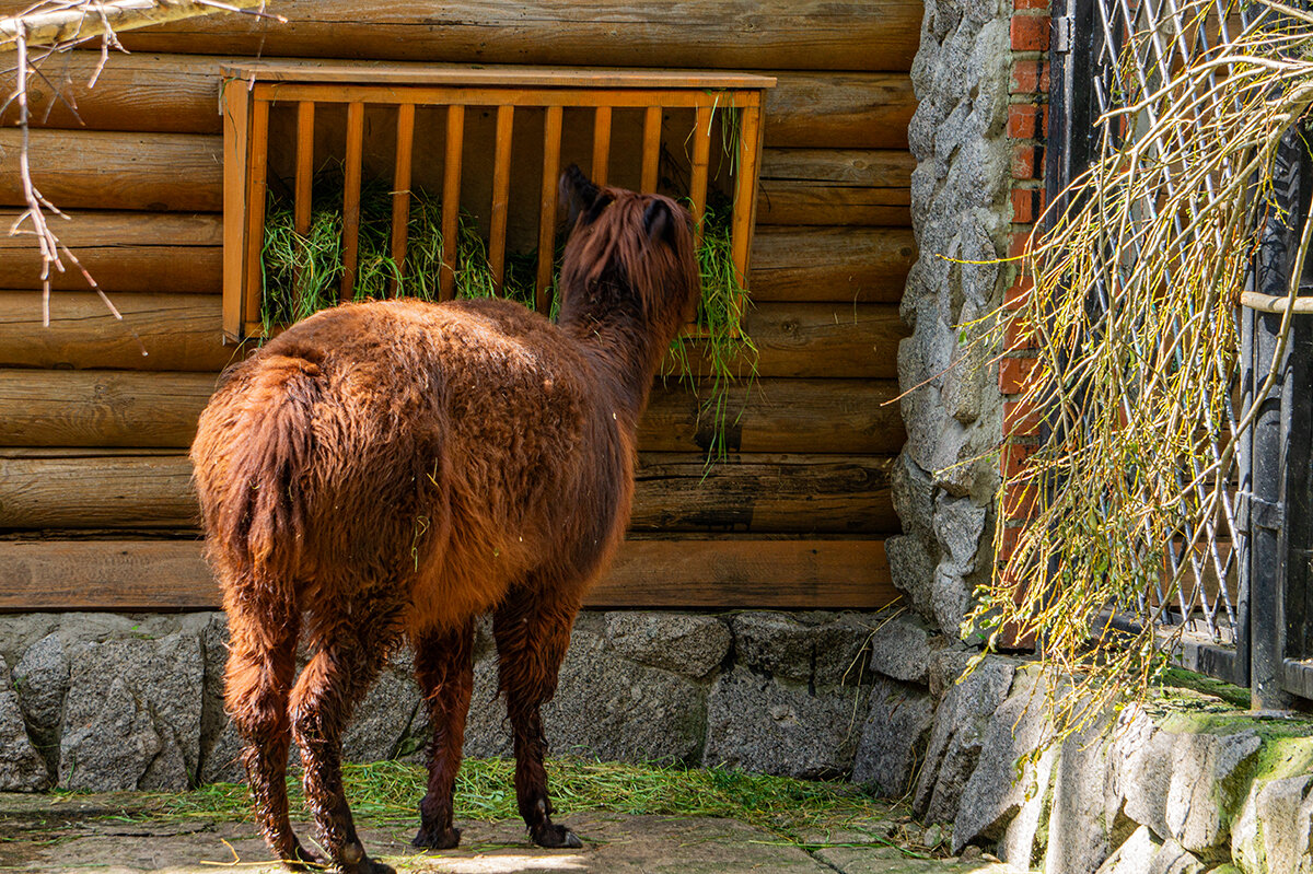 Обеденный перерыв - Ирина Соловьёва