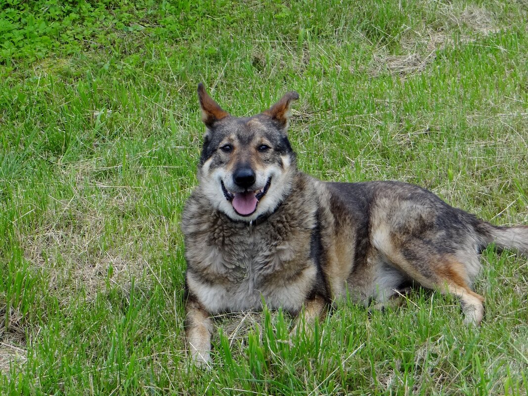Как - будто улыбается Мальчик - Антонина Гугаева