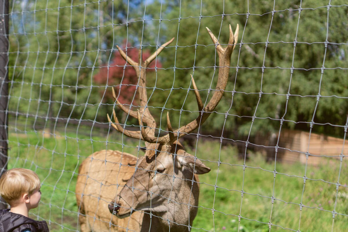 Давай знакомиться! - Дмитрий Ряховский