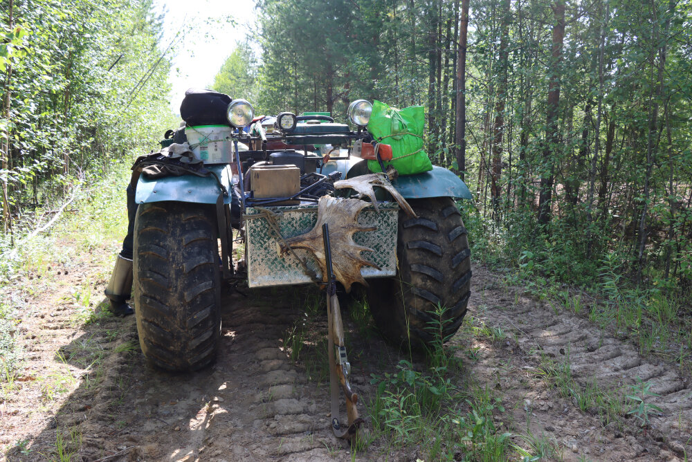 Рабочий конь, болотоход - Галина Ильясова Рабочий конь, болотоход - Галина Ильясова