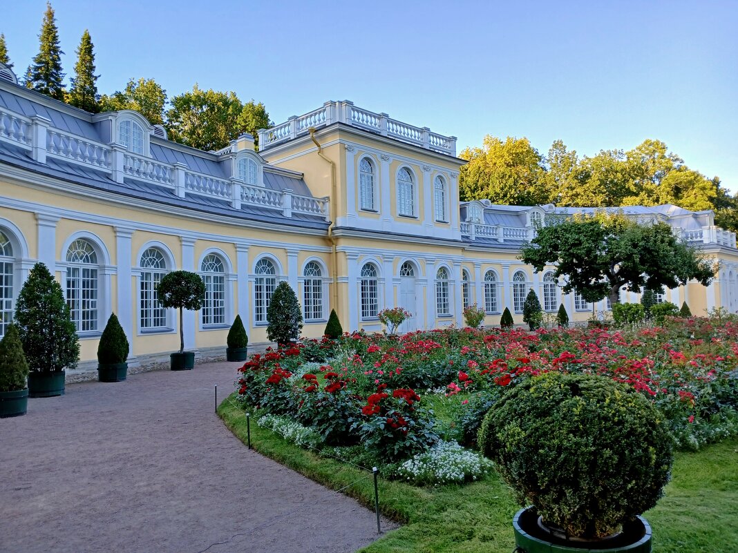 Оранжерейный сад. - Лия ☼