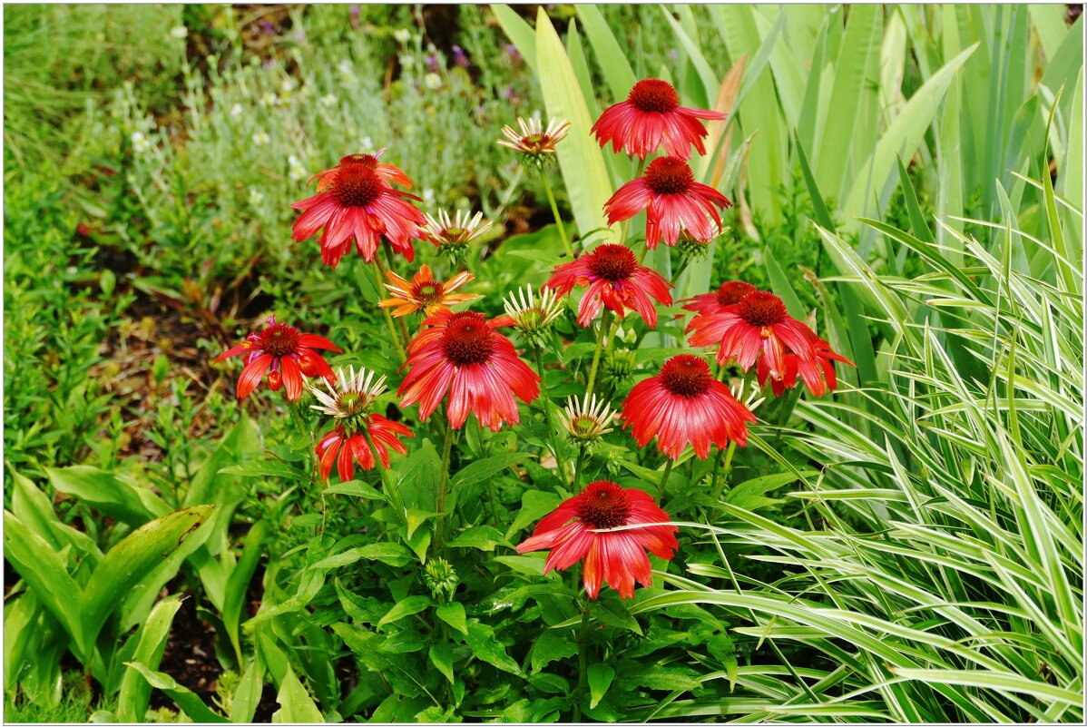 ЭТЮД... - Elvira E. ЭТЮД... - Elvira E.