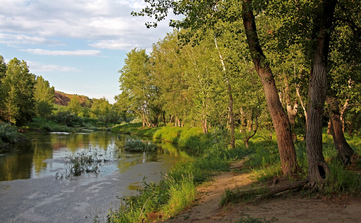 Июль - Олегъ Петрович