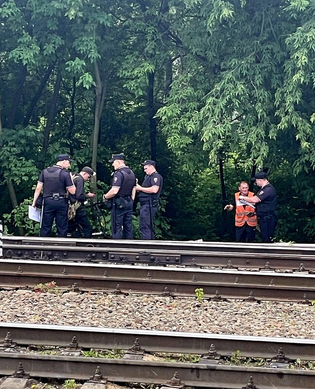 Происшествие на железной дороге - Елена 