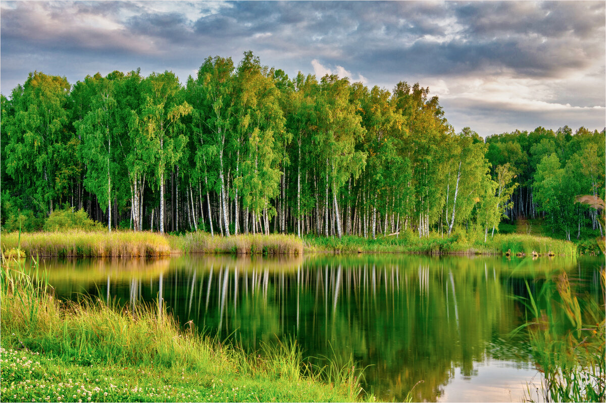*** - Алексей Мезенцев