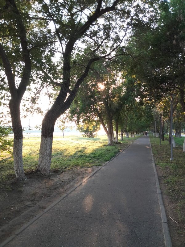 Аллея - Динара Каймиденова