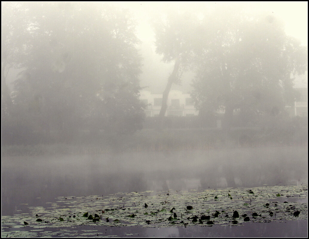 На озере.... - Aleksandr Gal На озере.... - Aleksandr Gal