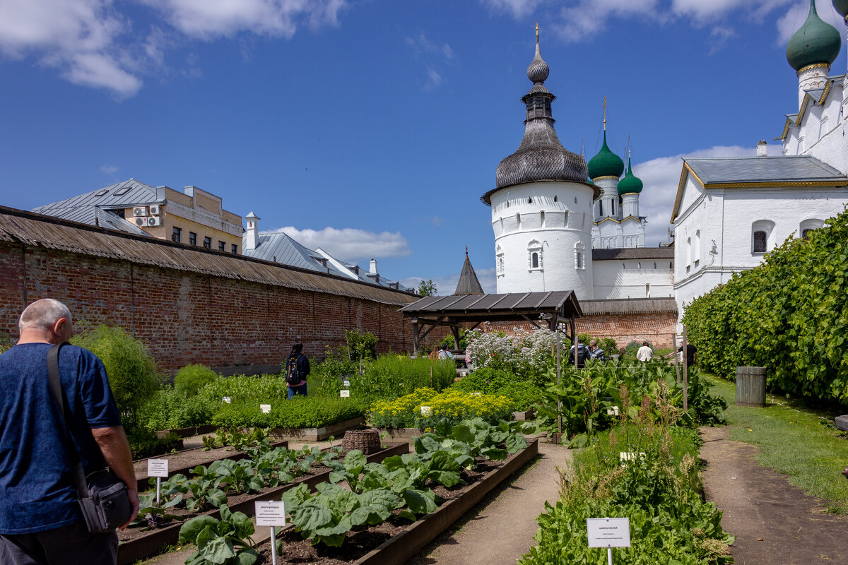 Аптекарский огород.Ростовский кремль. - ирина )))